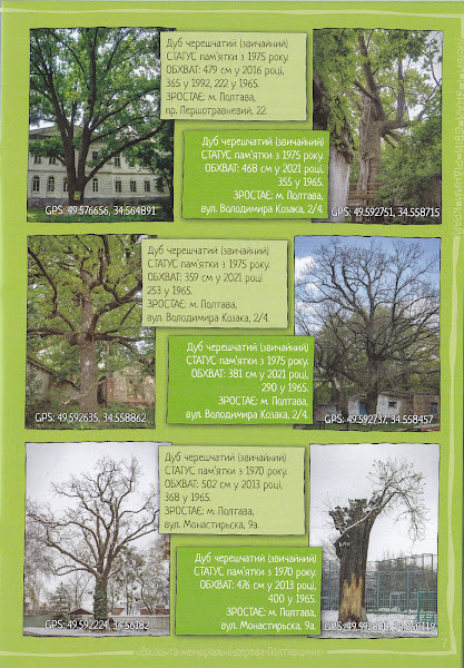 Вікові та меморіальні дерева Полтавщини