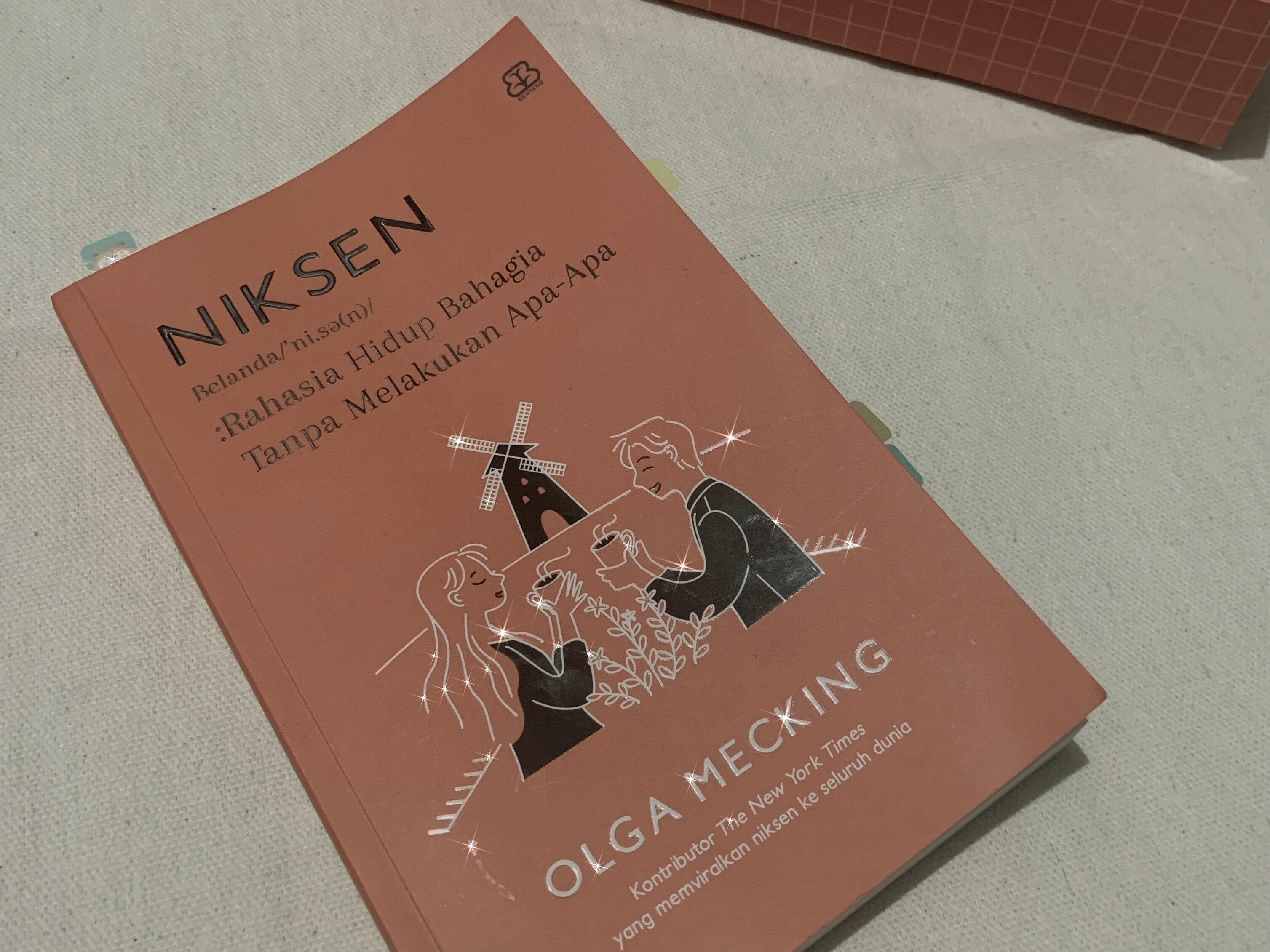 Review Buku Niksen