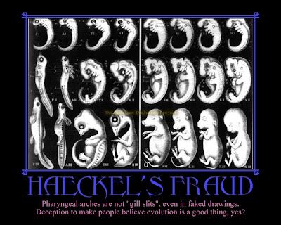 Haeckel had drawings supposedly of human embryos repeating human evolution. They were long known to be fake but were still used in textbooks for propaganda purposes.