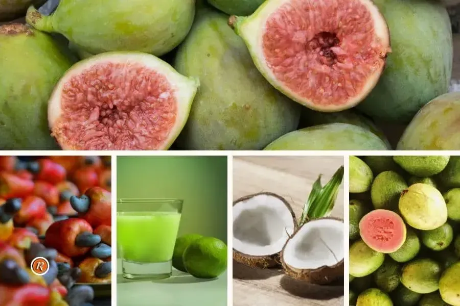 Segredos da Natureza: Saboreie a Magia do Doce de frutas, Figo, Goiaba, Caju, Limão e Coco Segredos da Natureza: Saboreie a Magia do Doce de frutas, Figo, Goiaba, Caju, Limão e Coco
