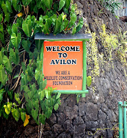 Avilon Zoo