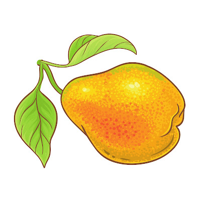 100 + Free Pear Fruit Cartoon Stock Images