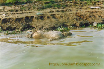 Gambar-Gambar Menyeramkan  Di Pemandangan Sungai Gangga