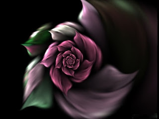 New Rose Natural Wallpaper For Desktop