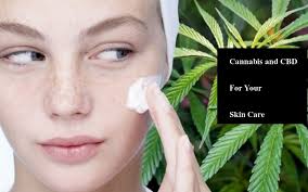 cbd skin care