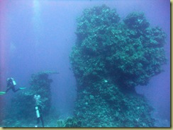 Typical Pillar