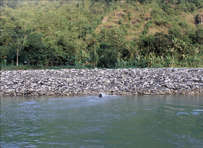 Sungai Oya, Kali Oyo, Selopamioro, imogiri, wisata hits, adus kali jogja