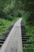 Juneau's Natural SideShrine, Salmon, and Flume (blog flume in juneau dsc )