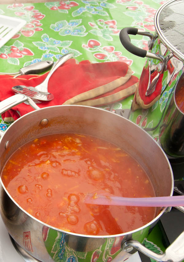 Marmalade recipe no pectin