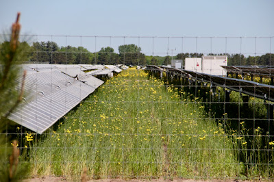 photo of a local solar pv farm