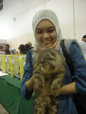 ... tiga kerana kategori favoritenya kucing malaysia ti