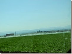 DSCN6130