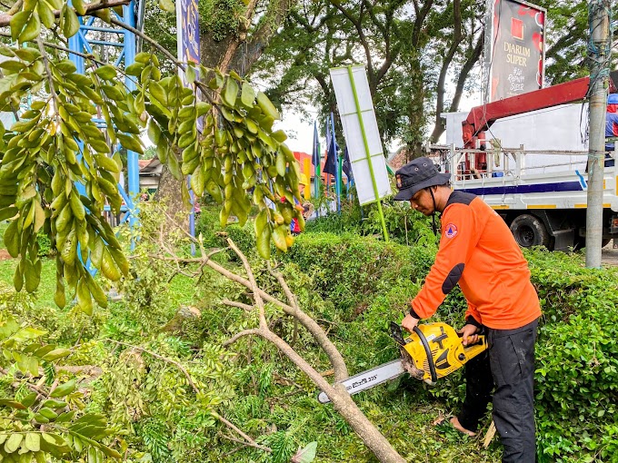 Antisipasi Curah Hujan Tinggi Senkom Lakukan Perimbasan Pohon