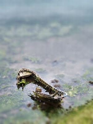 A Miniature World