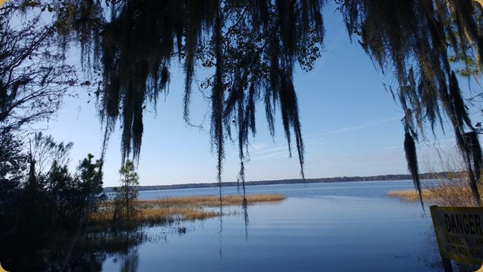 Ocean Pond