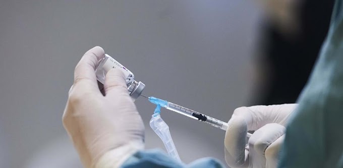 Aprueban en Estados Unidos vacuna contra el chikunguña