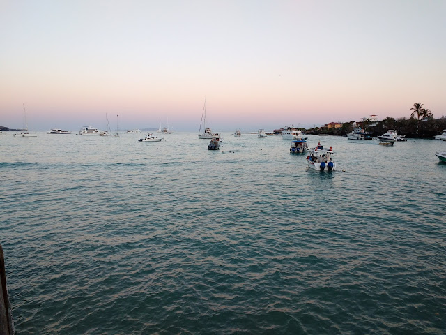 Puerto Ayora, Isla Santa Cruz, Islas Galápagos