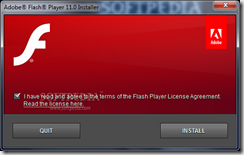 Flash Player