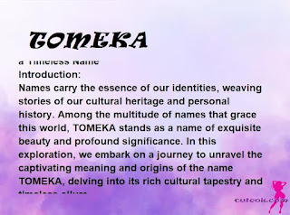 meaning of the name "TOMEKA"