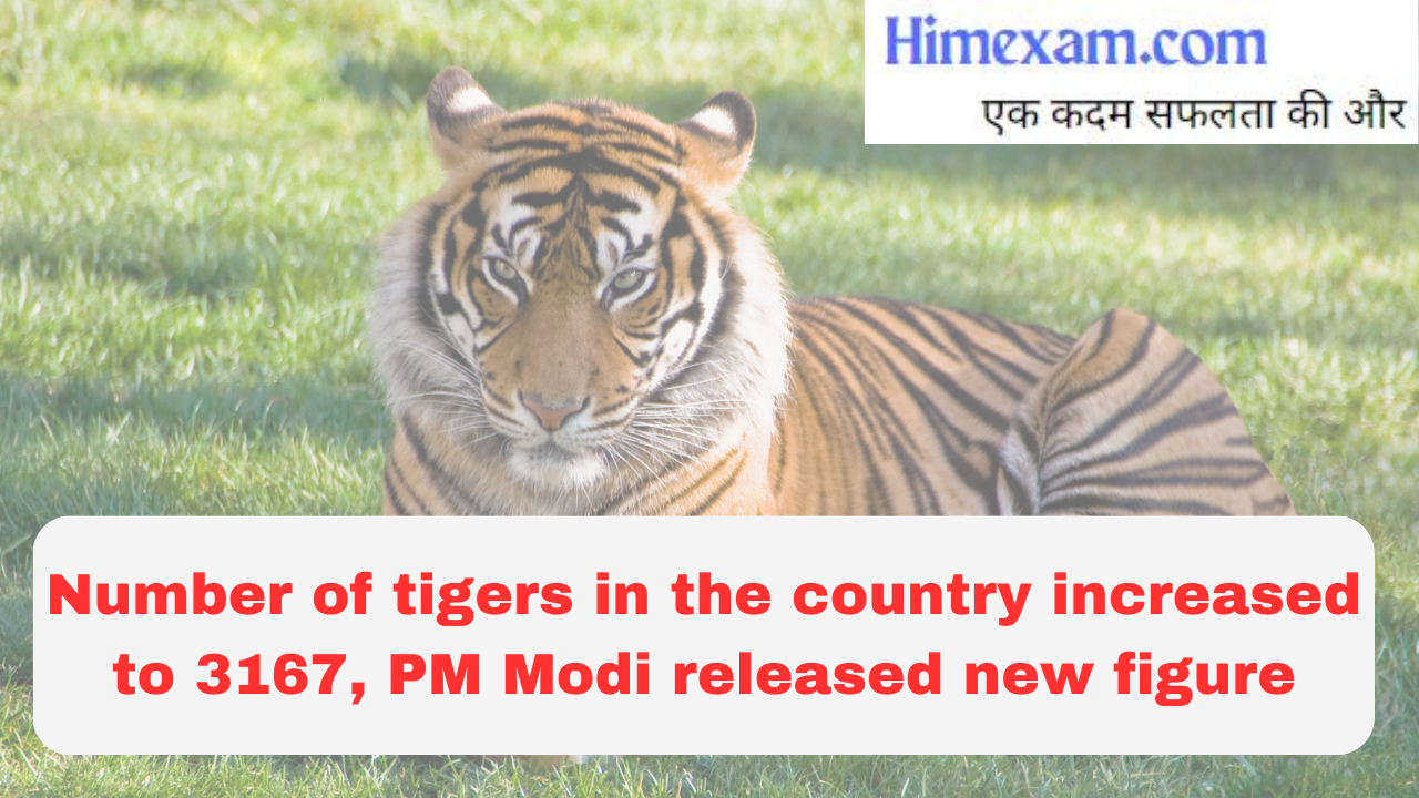 Number of tigers in the country increased to 3167, PM Modi released new figure