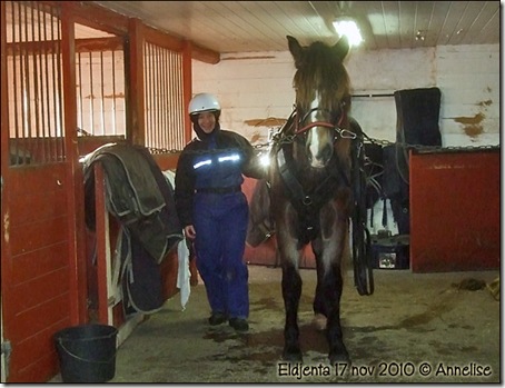 2010-jenta17nov_01