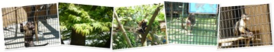 "横浜市立野毛山動物園" の表示