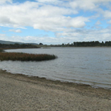 View album