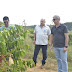 Emater-Rio celebra primeiro produtor de café da região Serrana com grão robusta e conilon