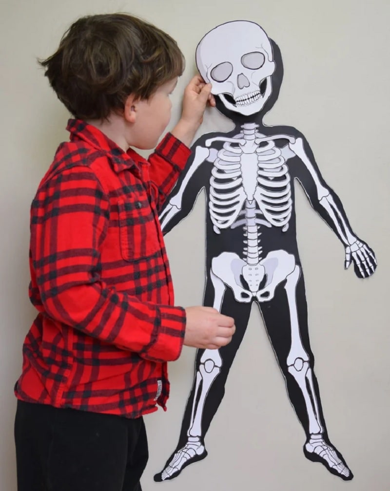 life size skeleton printable.