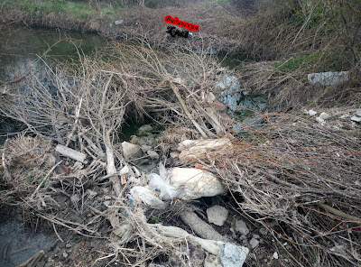 Недоизградената пречиствателна станция за отпадни води на град Димово