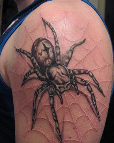 Animal Tattoo Spider Tattoo Lion Tattoo Scorpion Tattoo