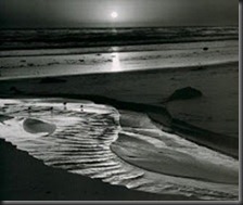 Ansel-Adams-Birds-on-a-Beach-163392