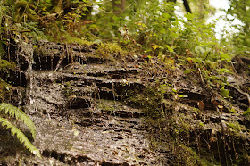 Henrhyd falls and Nant Valley walk to Abercraf