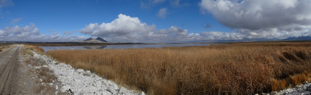 13: dam and water and grass