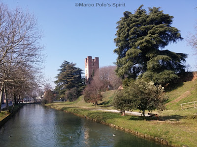 moat and park around castelfranco veneto's castle