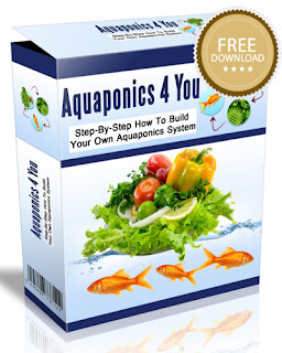 Aquaponics 4 You Free Download PDF, Aquaponics 4 You Free Download pdf, Aquaponics 4 You Download for free,aquaponics 4 you free download pdf,