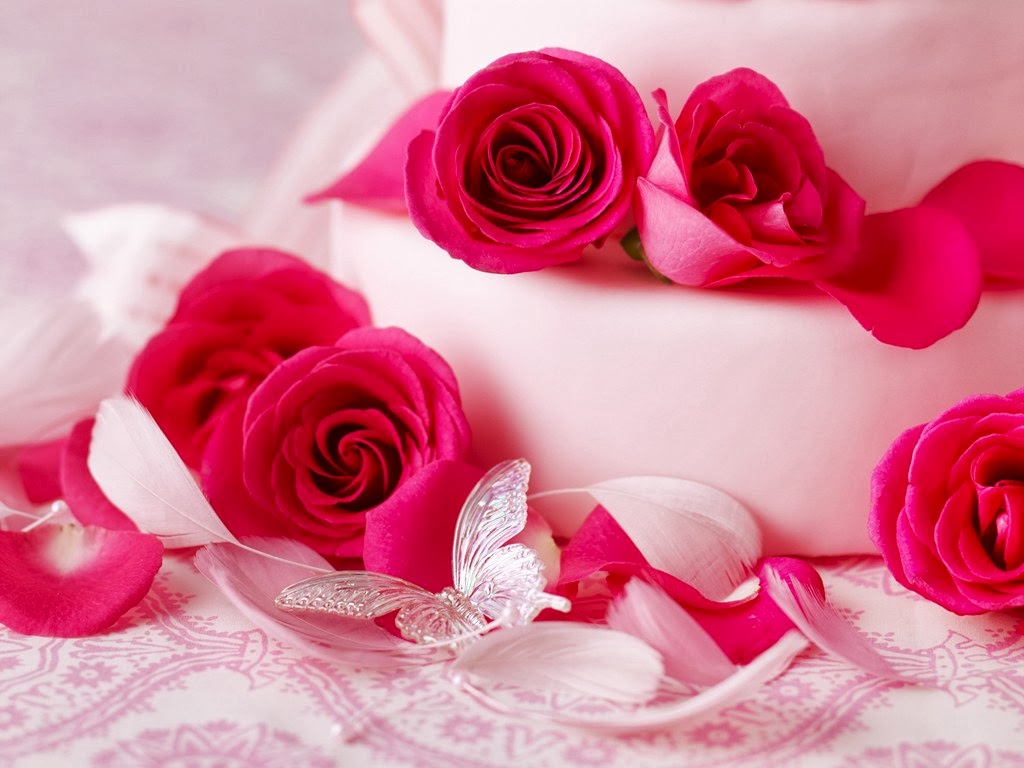 Beautiful Pink Roses Flower Hd Wallpapers