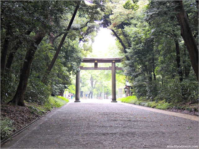 Torii del Santuario Meiji, Tokio
