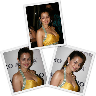 Actress Amisha Patel latest hot photos