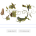  Google doodle pays tribute to Maria Sibylla Merian on her  366th Birthday