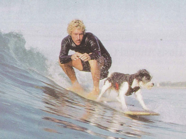 Surfing Dogs