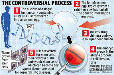 人獸混雜胚胎 155 個 (英科學家造出155個人獸混雜胚胎)