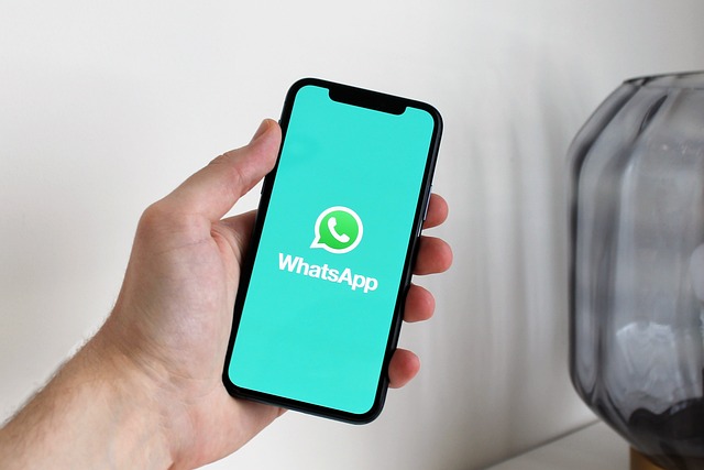 WhatsApp Marketing Tips and Strategies to Grow Your Business