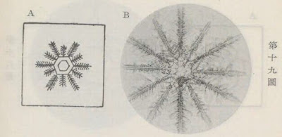 『雪華図説』の研究 模写図と顕微鏡写真と比較 第十九図