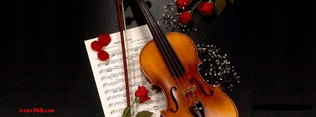 Ảnh bìa lãng mạn cho Facebook - Cover FB romantic timeline, hoa hồng cây đàn và lời nhạc