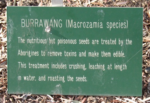 BoyceThompsonArboretumStatePark-3-2011-11-28-19-40.jpg