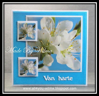 Een blauw-witte felicitatiekaart met afbeeldingen van bloesem van een oude kaart. A blue and white congratulation card with images of blossom from an old card.