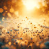 PC Wallpaper, Img451224