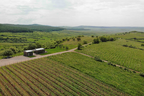 Wina i winnice, które warto poznać w Transylwanii - Czytaj więcej »