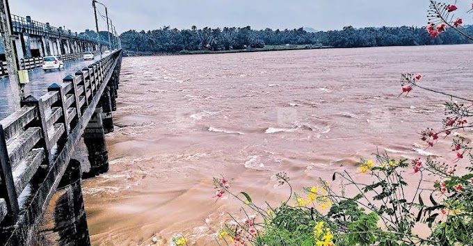 മുന്നറിയിപ്പുകള്‍ അവഗണിച്ചു: ഭാരതപ്പുഴ നിറഞ്ഞുകണ്ടതിന്റെ ആവേശത്തില്‍ നീന്താനായി എടുത്തു ചാടി; യുവാവ് അറസ്റ്റില്‍,